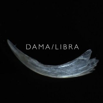 Dama/Libra - Claw in der Gruppe CD / Rock bei Bengans Skivbutik AB (3764824)