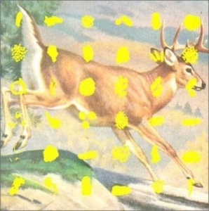 Various Artists - Fields And Streams in der Gruppe CD bei Bengans Skivbutik AB (3764852)