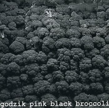 Godzik Pink - Black Broccoli in der Gruppe CD / Rock bei Bengans Skivbutik AB (3764894)