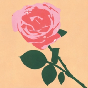 Nerftoss - Maiden Powers in der Gruppe CD bei Bengans Skivbutik AB (3764937)