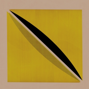 Snow Palms - Origin And Echo in der Gruppe CD bei Bengans Skivbutik AB (3764960)