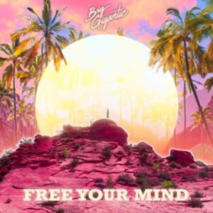 Big Gigantic - Free Your Mind in der Gruppe CD / Dance-Techno bei Bengans Skivbutik AB (3766609)