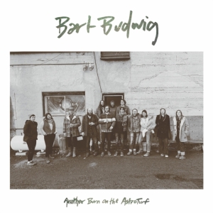 Bart Budwig - Another Burn On The Astroturf in der Gruppe VINYL / Country bei Bengans Skivbutik AB (3768122)
