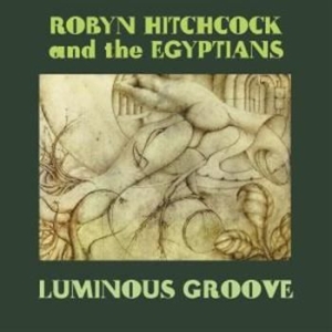 Hitchcock Robyn - Luminous Groove Box Set in der Gruppe CD / Rock bei Bengans Skivbutik AB (3768776)