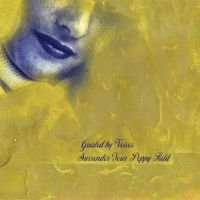 Guided By Voices - Surrender Your Poppy Field in der Gruppe CD / Pop-Rock bei Bengans Skivbutik AB (3768801)