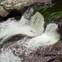 Jpnsgrls - Circulation in der Gruppe CD bei Bengans Skivbutik AB (3768868)