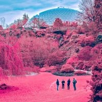 Zolas - Swooner in der Gruppe CD / Pop-Rock bei Bengans Skivbutik AB (3768871)