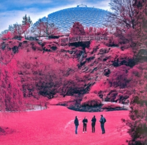 Zolas - Swooner in der Gruppe CD bei Bengans Skivbutik AB (3768871)