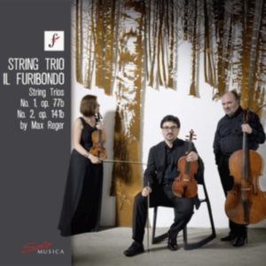 Reger Max - String Trio No. 1, Op. 77B String in der Gruppe Externt_Lager / Naxoslager bei Bengans Skivbutik AB (3769429)