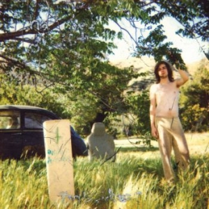 Ariel Pink - Doldrums in der Gruppe VINYL / Rock bei Bengans Skivbutik AB (3771163)