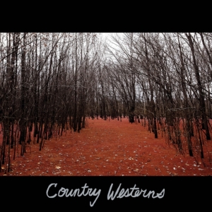 Country Westerns - Country Westerns in der Gruppe CD / Pop-Rock bei Bengans Skivbutik AB (3771252)