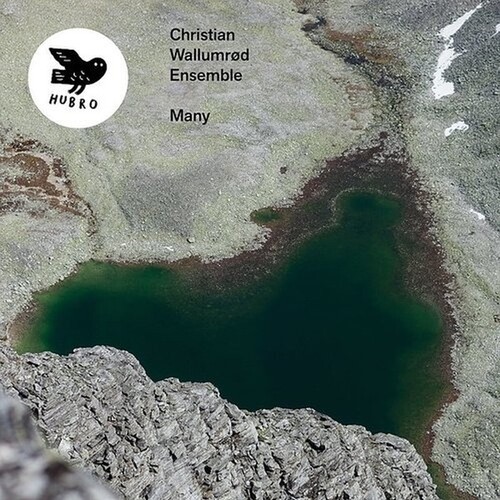 Wallumröd Christian & Ensemble - Many in der Gruppe CD / Rock bei Bengans Skivbutik AB (3771303)