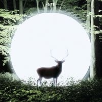 Lite - Installation in der Gruppe VINYL / Pop-Rock bei Bengans Skivbutik AB (3772453)