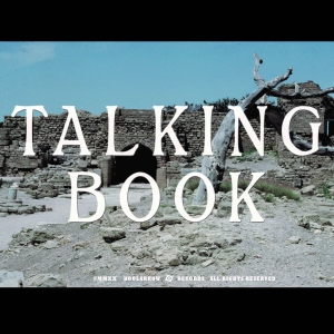Talking Book - Talking Book Ii (Ltd.Ed.) in der Gruppe VINYL bei Bengans Skivbutik AB (3772459)