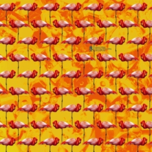 Elephant Chateau - Dreamings & Offshore Drilling in der Gruppe VINYL / Pop-Rock bei Bengans Skivbutik AB (3772466)