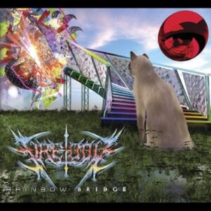 Fire-Toolz - Rainbow Bridge in der Gruppe CD / Dance-Techno,Pop-Rock bei Bengans Skivbutik AB (3772903)