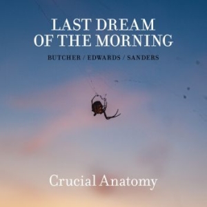 Butcher / Edwards / Sanders - Last Dream Of The Morning in der Gruppe CD / Jazz/Blues bei Bengans Skivbutik AB (3772958)