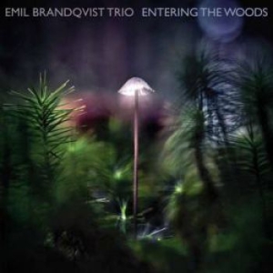 Brandqvist Emil - Entering The Woods in der Gruppe VINYL / Jazz bei Bengans Skivbutik AB (3774120)