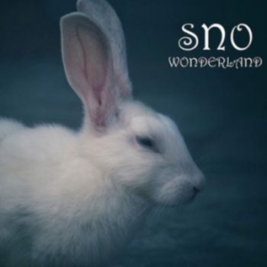 Stonewall Noise Orchestra - Wonderland in der Gruppe CD bei Bengans Skivbutik AB (3778428)