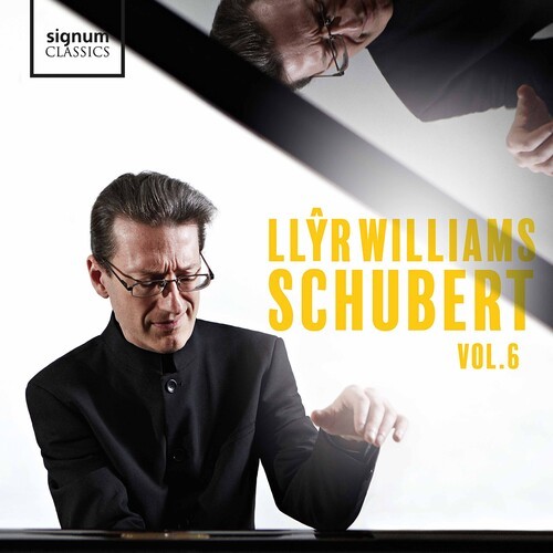 Schubert Franz - Schubert, Vol. 6 in der Gruppe CD / Klassiskt bei Bengans Skivbutik AB (3778515)