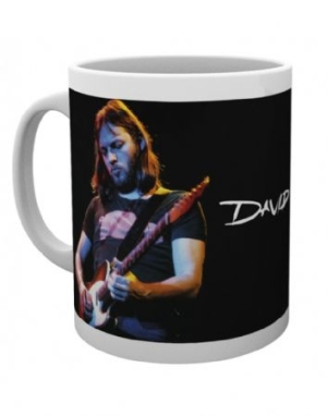 David Gilmour - Live Photo Mug in der Gruppe Merchandise bei Bengans Skivbutik AB (3778745)