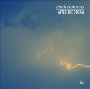 Tenderlonious - After The Storm in der Gruppe VINYL bei Bengans Skivbutik AB (3778965)