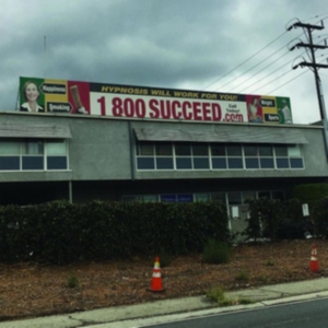 Media Jeweler - 1 800 Succeed in der Gruppe CD bei Bengans Skivbutik AB (3780697)