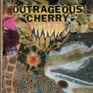 Outrageous Cherry - Universal Malcontents in der Gruppe CD / Pop-Rock bei Bengans Skivbutik AB (3782555)