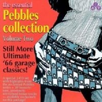 Various Artists - Essential Pebbles Vol. 2 in der Gruppe CD / Pop-Rock bei Bengans Skivbutik AB (3782640)
