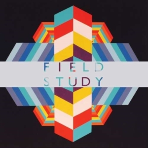 Field Study - Feverland in der Gruppe CD / Pop-Rock bei Bengans Skivbutik AB (3782691)
