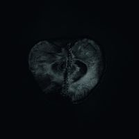 Sektori Sadon & Treha - Symphony Of Dying in der Gruppe CD / Pop-Rock bei Bengans Skivbutik AB (3783095)