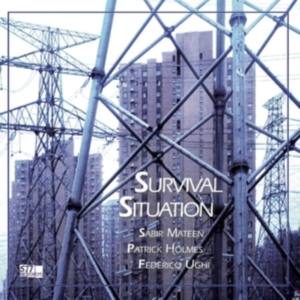 Sabir Mateen Patrick Holmes Federic - Survival Situation in der Gruppe VINYL / Pop-Rock bei Bengans Skivbutik AB (3788054)