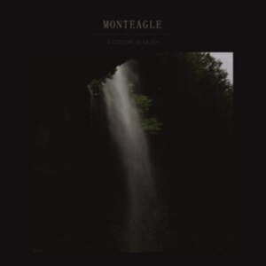 Monteagle - A Colorful Moth in der Gruppe VINYL / Pop-Rock,Svensk Folkmusik,World Music bei Bengans Skivbutik AB (3788058)