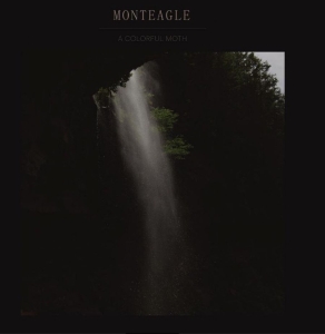 Monteagle - A Colorful Moth in der Gruppe VINYL / Pop-Rock,Svensk Folkmusik,World Music bei Bengans Skivbutik AB (3788058)
