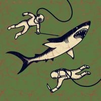 Shepparton Airplane - Sharks in der Gruppe VINYL / Pop-Rock bei Bengans Skivbutik AB (3788059)