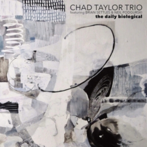 Taylor Chad (Trio) - Daily Biological in der Gruppe UNSERE TIPPS / Årsbästalistor 2020 / JazzTimes 2020 bei Bengans Skivbutik AB (3788073)