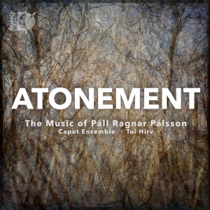 Palsson Pall Ragnar - Atonement - The Music Of Pall Ragna in der Gruppe Externt_Lager / Naxoslager bei Bengans Skivbutik AB (3788210)