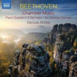 Beethoven Ludwig Van - Chamber Music (2Cd) in der Gruppe Externt_Lager / Naxoslager bei Bengans Skivbutik AB (3788261)