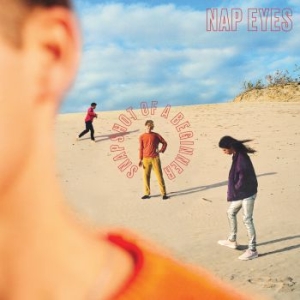 Nap Eyes - Snapshot Of A Beginner in der Gruppe VINYL / Pop-Rock bei Bengans Skivbutik AB (3788415)