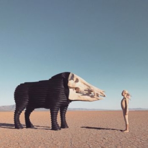 Man Man - Dream Hunting In The Valley Of The in der Gruppe VINYL / Rock bei Bengans Skivbutik AB (3789106)