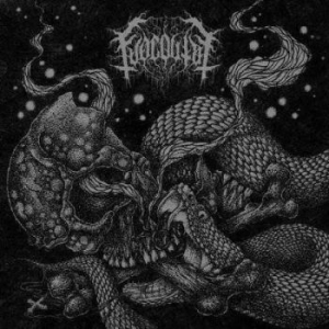 Fuoco Fatuo - Viper Slithers In The Ashes Of What in der Gruppe VINYL / Hårdrock bei Bengans Skivbutik AB (3789122)