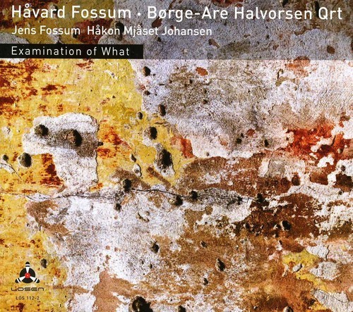 Fossum Håvard/Halvorsen Börge Are Q - Ex in der Gruppe CD / Jazz/Blues bei Bengans Skivbutik AB (3798972)