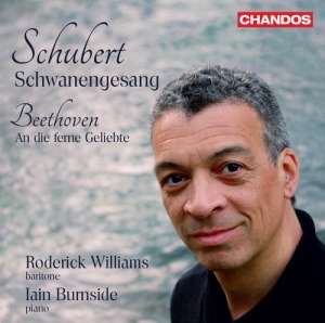 Beethoven Ludwig Van Schubert Fr - Schubert: Schwanengesang Beethoven in der Gruppe Externt_Lager / Naxoslager bei Bengans Skivbutik AB (3799094)