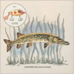 Lowe Nick - Lay It On Me in der Gruppe VINYL / Pop-Rock bei Bengans Skivbutik AB (3805423)