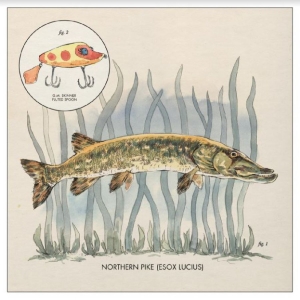 Lowe Nick - Lay It On Me in der Gruppe VINYL / Pop-Rock bei Bengans Skivbutik AB (3805423)