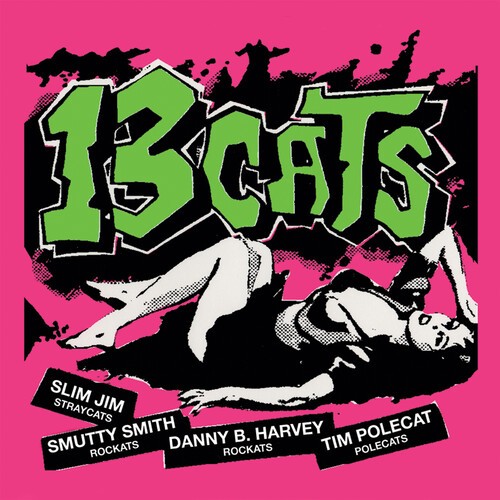 13 Cats - 13 Tracks in der Gruppe VINYL / Rock bei Bengans Skivbutik AB (3805444)