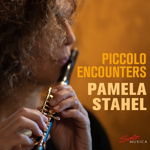 Various - Piccolo Encounters in der Gruppe CD / Bestseller bei Bengans Skivbutik AB (3806958)
