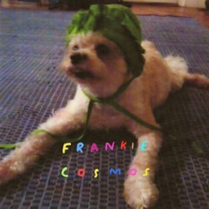 Frankie Cosmos - Zentropy in der Gruppe CD / Rock bei Bengans Skivbutik AB (3807906)