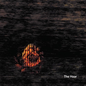 The Haar - Irish Traditional Songs in der Gruppe CD / Elektroniskt,World Music bei Bengans Skivbutik AB (3808030)