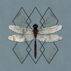 Ohhms - Close in der Gruppe CD / Rock bei Bengans Skivbutik AB (3808119)